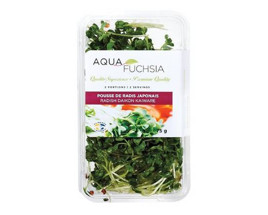 Aquafuchsia · Pousse de radis japonais (75 g) - Daikon Kaiware sprouted radish seeds (75 g)