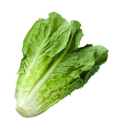 Organic Romaine Lettuce