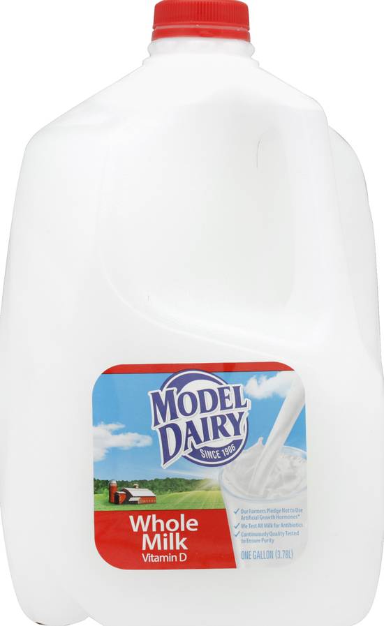 Model Dairy Whole Milk (1 gal)