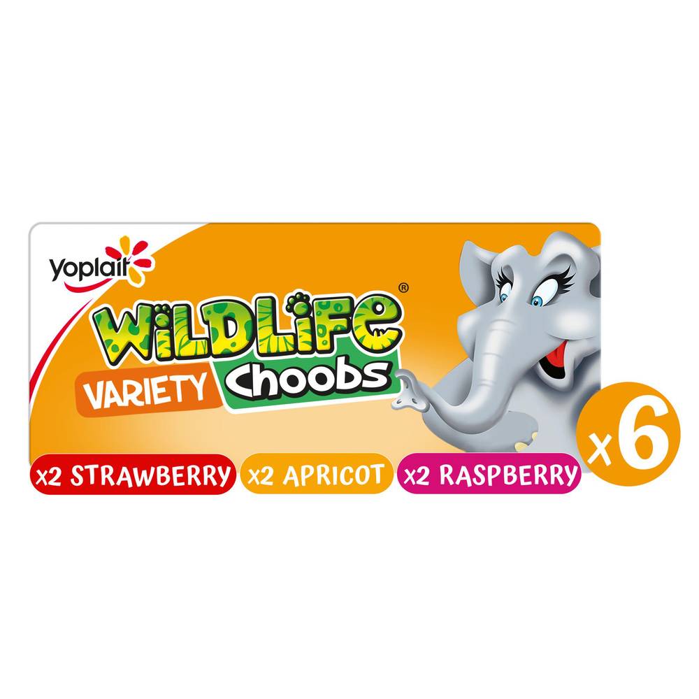 Wildlife Strawberry, Raspberry & Apricot Yogurt Choobs 6x37g