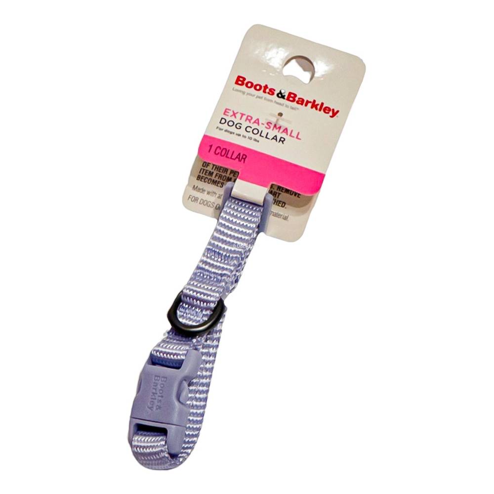 Basic Dog Adjustable Collar with Color Matching Buckle - XS - Lilac - Boots & Barkley™