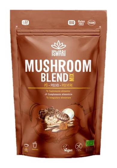 MIX COGUMELOS EM PÓ BIO 100G