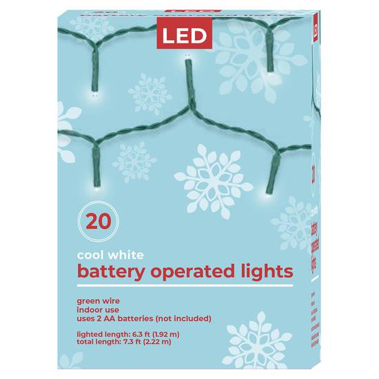 LED Battery Operated Light Cool White - 20 ct