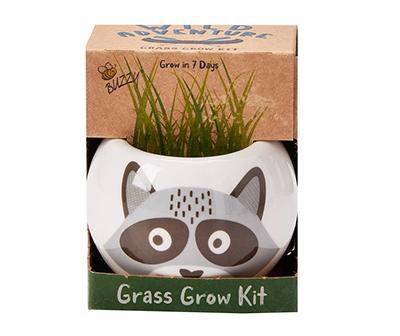 Wild Adventures Racoon Planter Grass Grow Kit