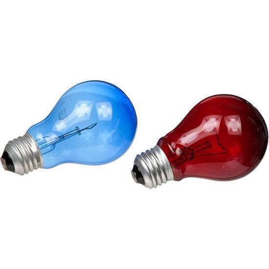 Zoo Med Day & Night Reptile Bulb Combo pack ( large)