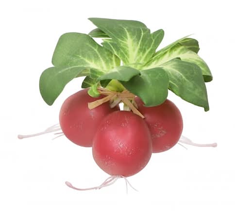 Red & Green Decorative Radish Bundle By Ashland