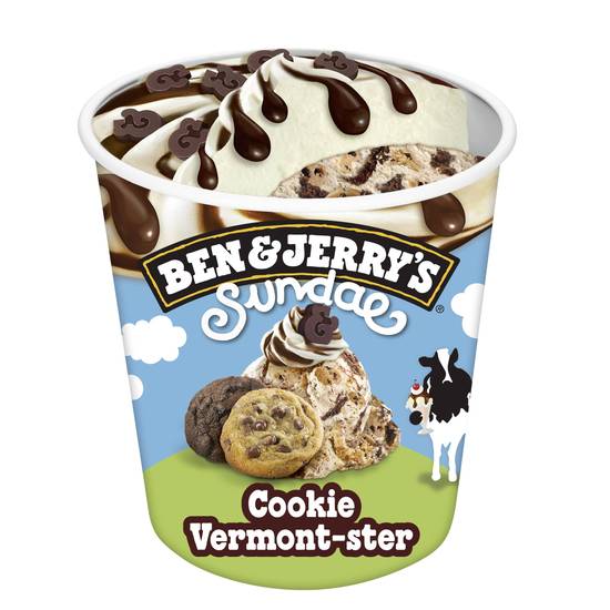 Ben & Jerry's Cookie Vermont-ster Sundae 427ml