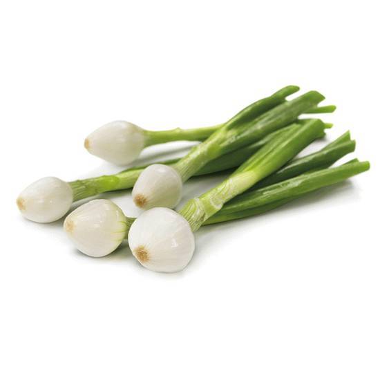 Cebollitas
