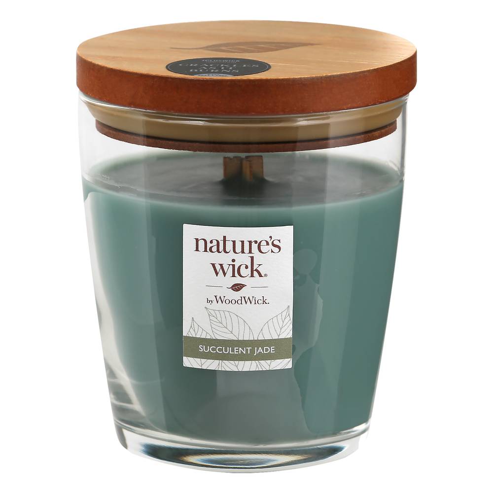 Nature's Wick Wood Wick Succulent Jade Candle