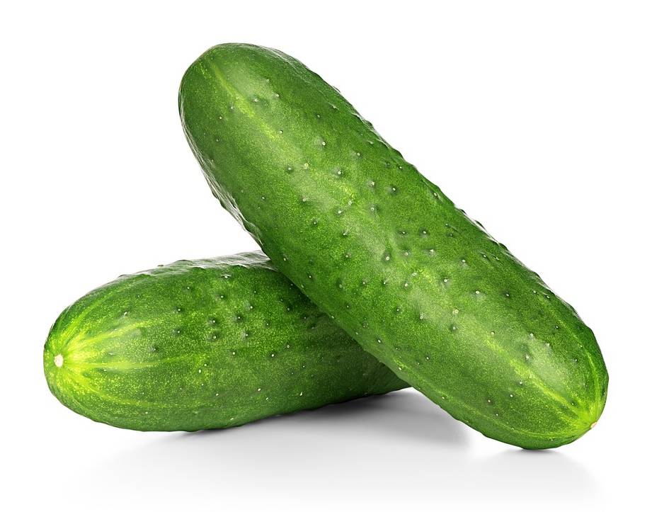 Pepino