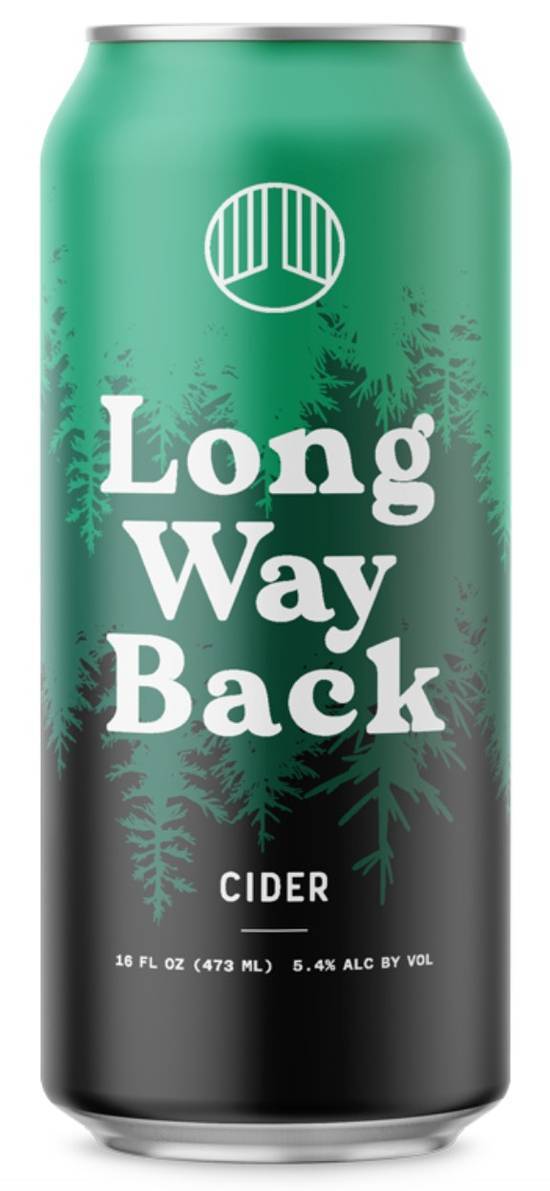 Artifact Long Way Back Cider (16 fl oz)