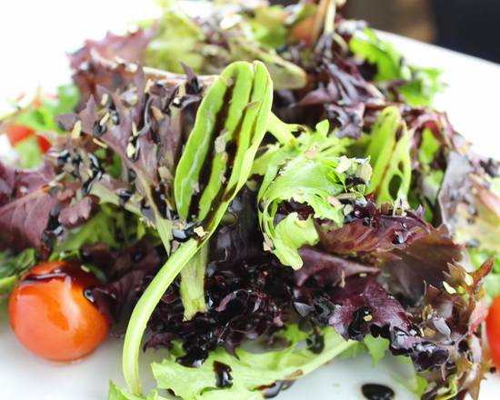 Large Garden Salad