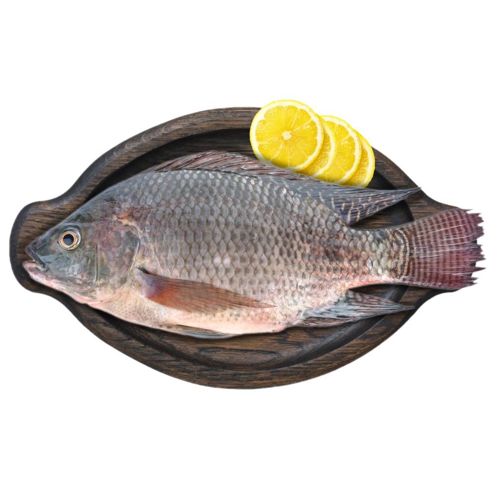 Vp Whole Cleaned Tilapia