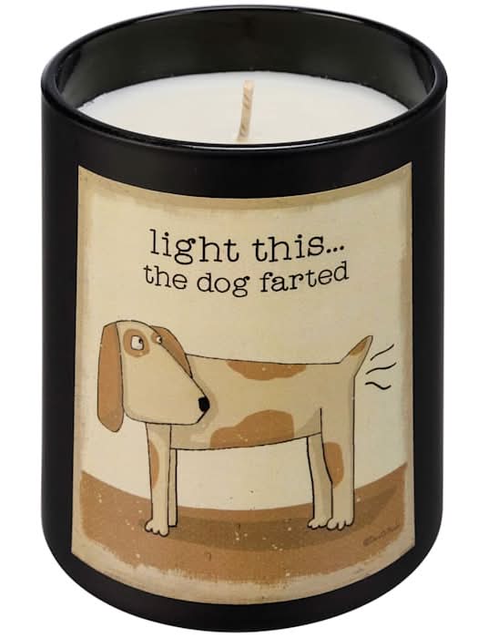 Primitives By Kathy Dog Farted Candle