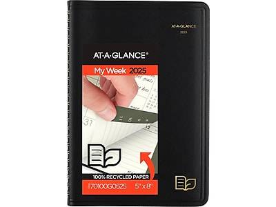 AT-A-GLANCE 2025 Weekly & Monthly Appointment Book Planner, Black