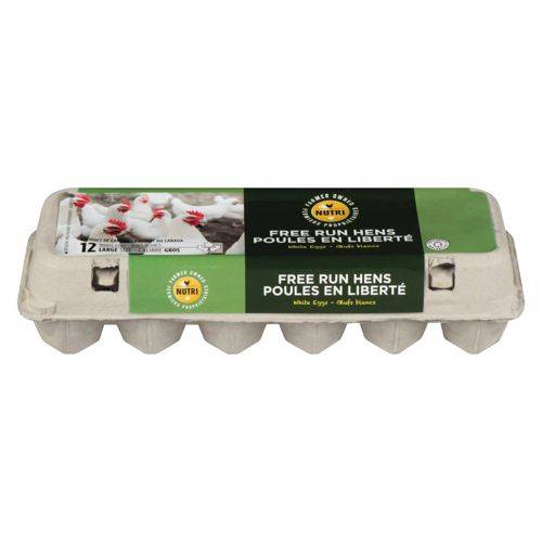 Nutri œufs blancs de poules en liberté - white eggs from free run hens (12 unités) (gros)