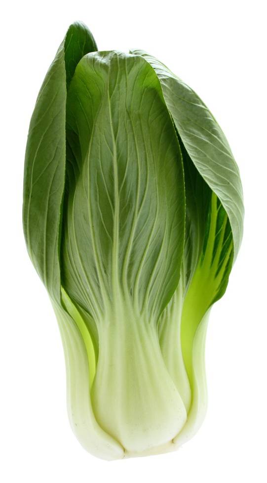 Organic Baby Bok Choy