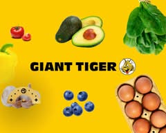 Giant Tiger (3200 Erin Mills Parkway)