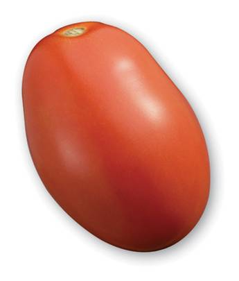 Roma Tomato (Plum Tomato)