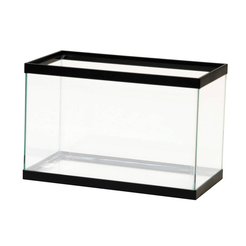 Aqueon Standard Glass Rectangle Aquarium (Size: 5.5 Gal)
