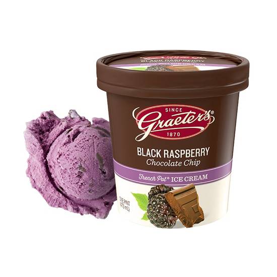 Black Raspberry Chocolate Chip Pint