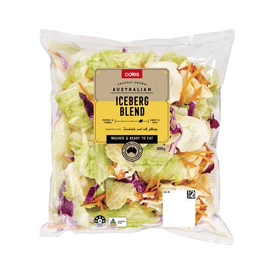 Coles Iceberg Salad Blend 300g