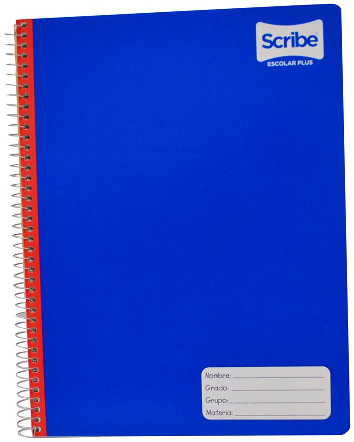 Scribe Cuaderno profesional cuadro C7 (1 pieza)