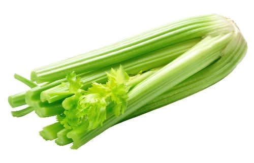 Organic Celery