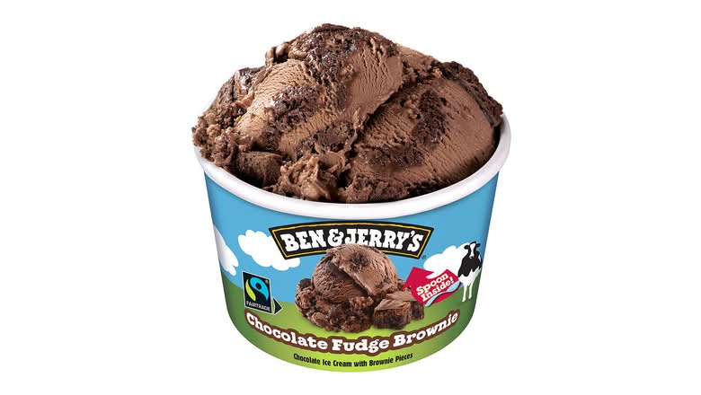 Chocolate Fudge Brownie - Ben & Jerrys™ - 100ml