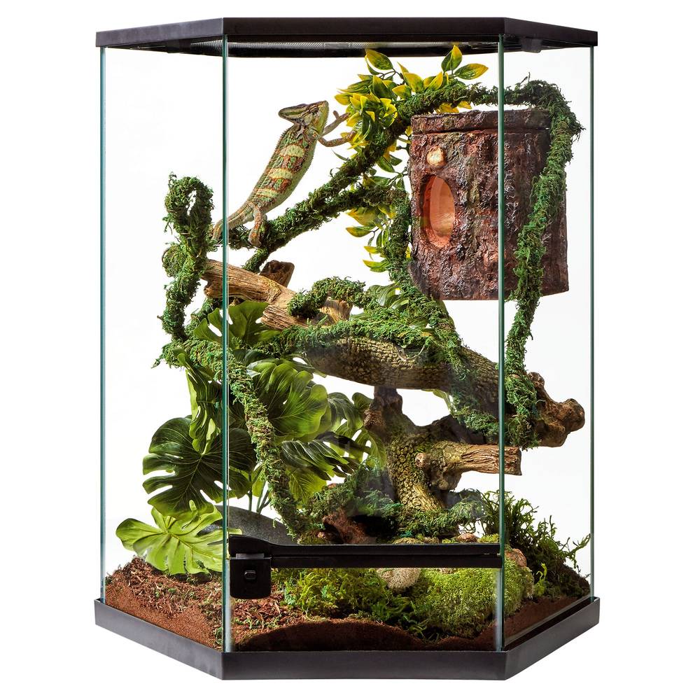 Thrive Vertical Hexagon Tropical Reptile Terrarium