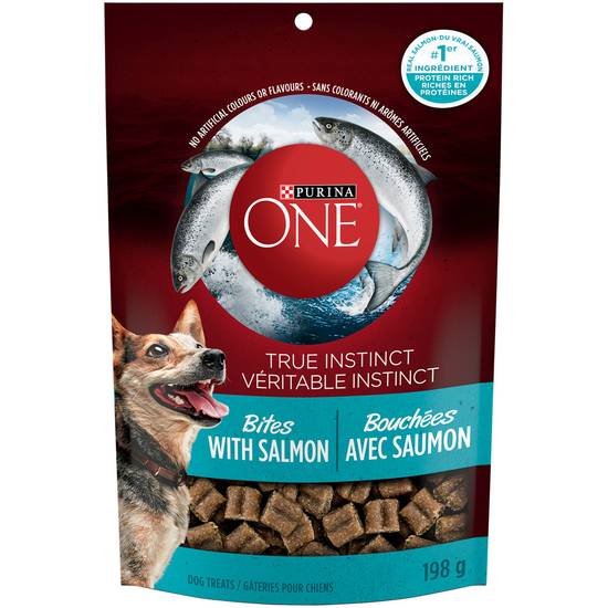 Purina One True Instinct Bites With Salmon Natural Dog Treats (198 g)