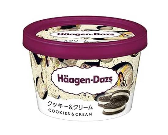 [冷凍]ハーゲンダッツクッキー＆クリーム110mlJ-041