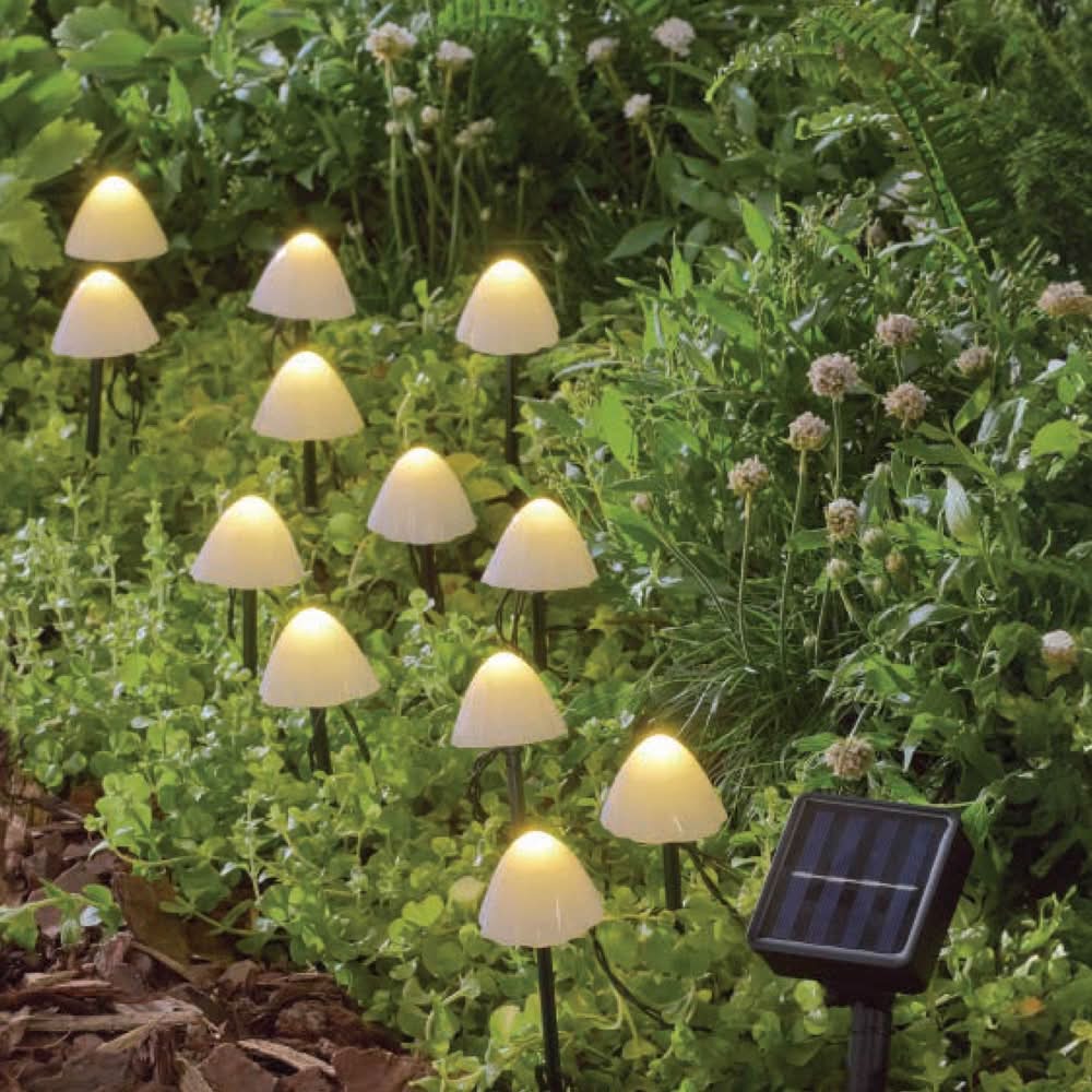 Harbor Breeze 12 -Pack Mini Mushroom 5 -Lumens Matte Black Solar LED Outdoor Path Light Kit ( 3000-K )