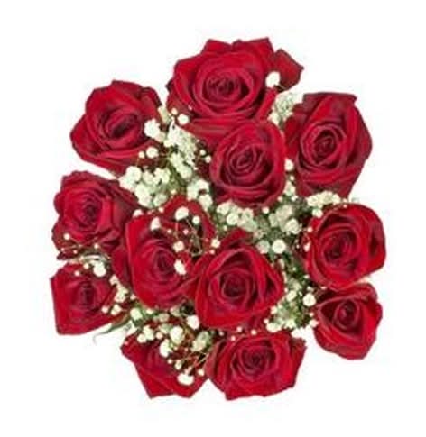 Dozen Rose Bouquet