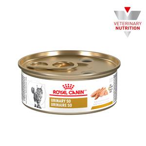 Royal canin alimento para gato urinary so (adulto)