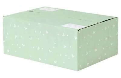 Scotch Mailing Box, Medium