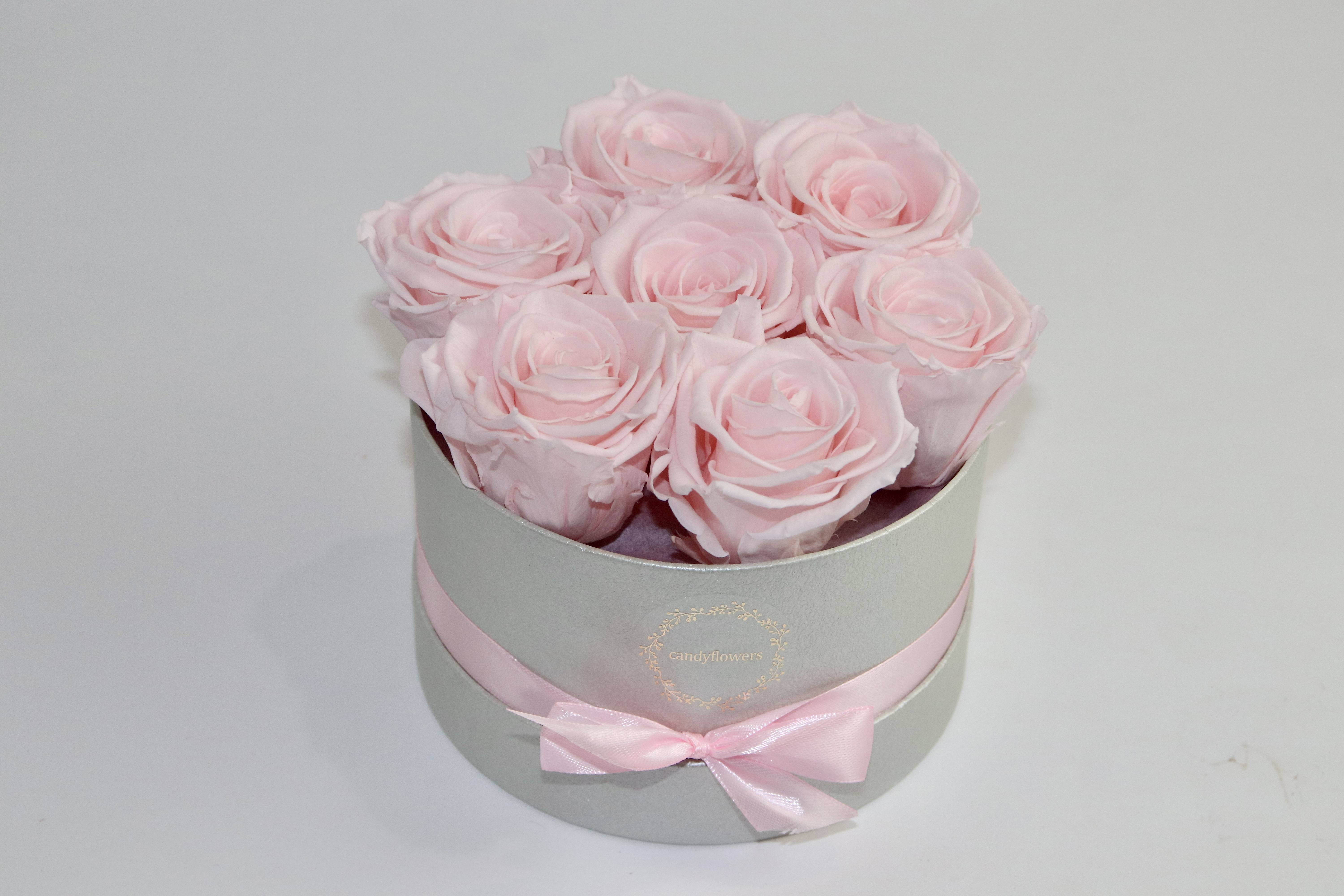 Little rose éternelle roses