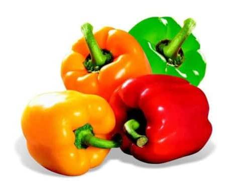 poivrons mélangés bio