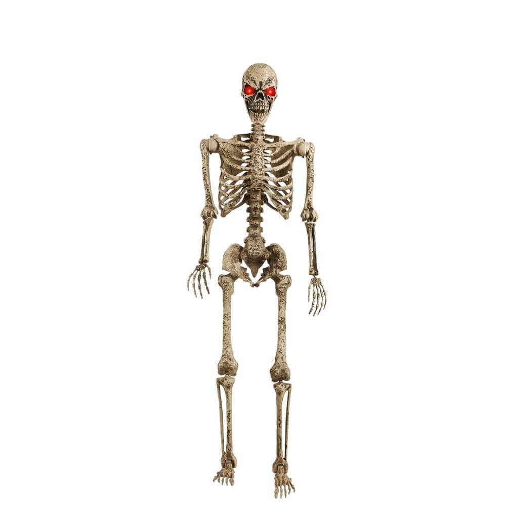 Home Accents Holiday 5 Ft. Led Pose-N-Stay Pitted Skeleton