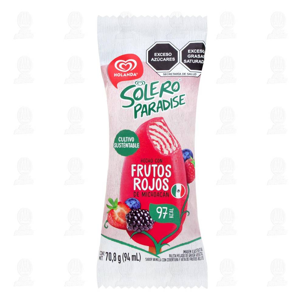 Holanda · Paleta solero paradise frutos rojos (94 ml)