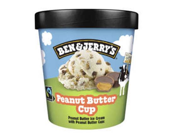 Ben & Jerry's Peanut Butter Cup 425g