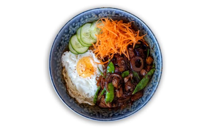 Teriyaki Duck Donburi 照烧鸭盖饭