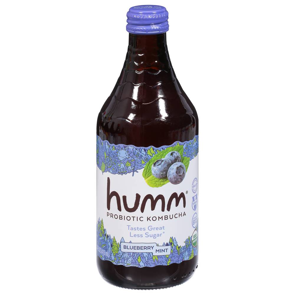 Humm Probiotic Blueberry Mint Kombucha (14 fl oz)