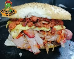 Las Tortugas de Texcoco (100)