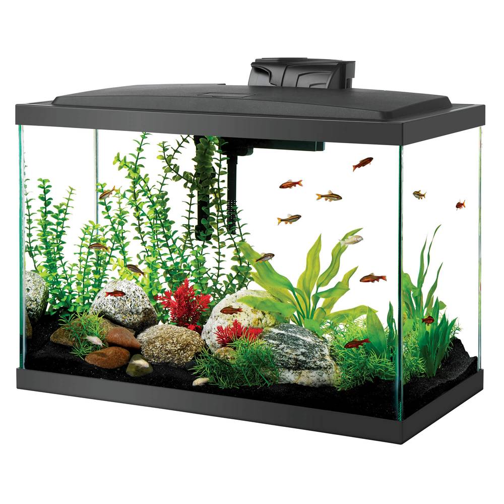 Aqueon Aquarium Starter Kit With Led Light High Fish Tank