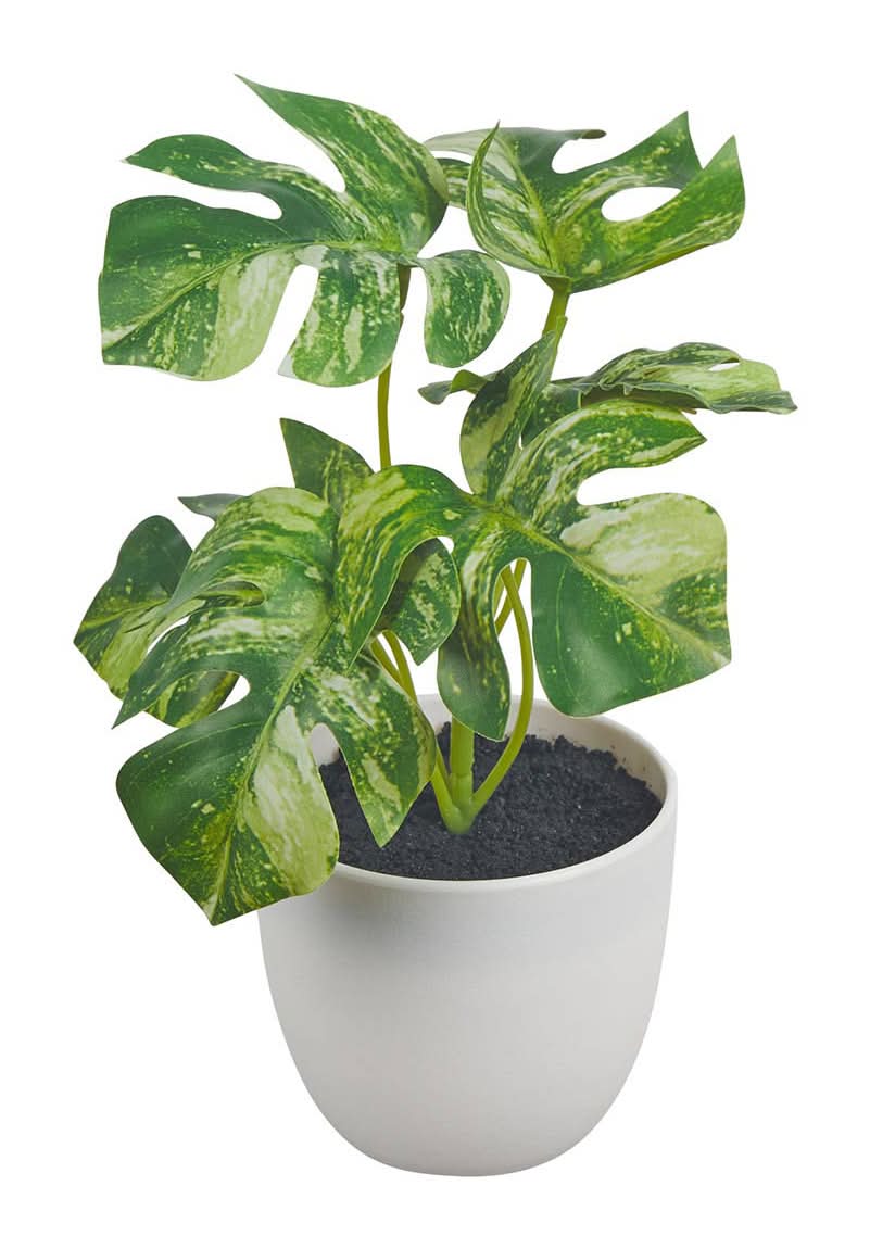 Artificial Greenery Plant With Pot