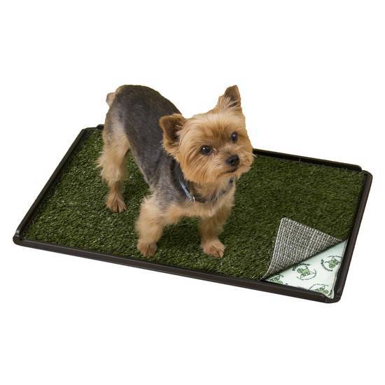 Poochpads Indoor Turf Dog Potty Plus, For Dogs Up To 20 Lbs., 24'' L X 16'' W X 1'' H