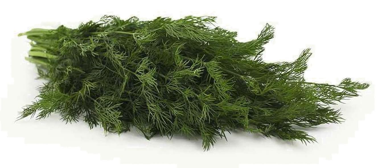 Dill Fresh (1 bunch)