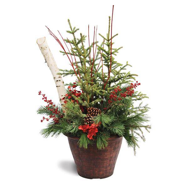 Premium Spruce Top Planter