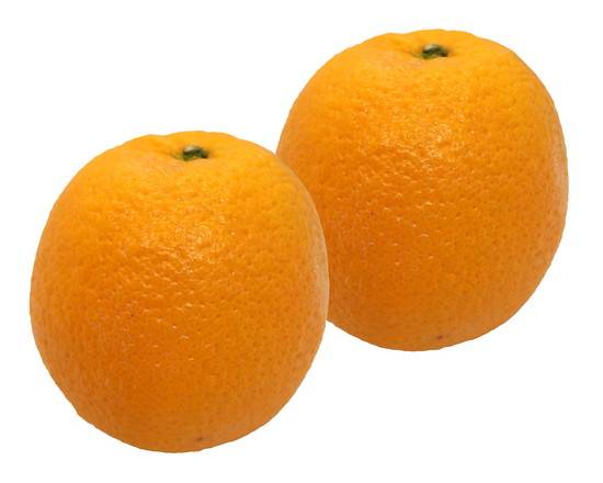ネーブルオレンジ（2個パック）